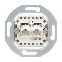 Lizdas telefono p/t dvigubas UAE8x8P Kat.3 - JUNG