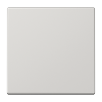 Klavišas mygtukiniam jungikliui šviesiai pilkas LS - JUNG