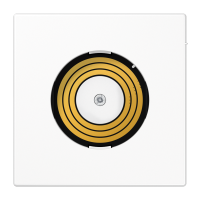 Dangtelis baltas tvirtinimui šviestuvo PLUG LS - JUNG