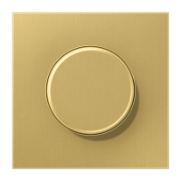 Dangtelis šviesos reguliatoriui klasikinis žalvaris LS - JUNG