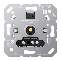 Perjungėjas dimerio - JUNG