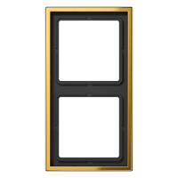 Rėmelis dvigubas aukso spalvos LS - JUNG