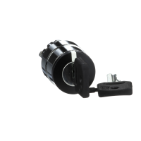 Galvutė perjungikliui 2 padėčių užrakinama, raktas ištraukiamas vienoje pozicijoje su fiksacija - SCHNEIDER ELECTRIC