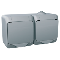 Lizdas v/t dvigubas IP44 16A 250V AC pilkas Cedar Plus - SCHNEIDER ELECTRIC