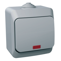 Jungiklis v/t viengubas IP44 16A 250V AC su pašvietimu pilkos spalvos Cedar Plus - SCHNEIDER ELECTRIC