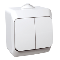 Jungiklis v/t dvigubas IP44 baltas 16A 250V CEDAR PLUS WNT-500Y - SCHNEIDER ELECTRIC