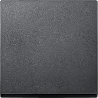 Klavišas viengubam jungikliui antracito matinės spalvos System M Merten - SCHNEIDER ELECTRIC