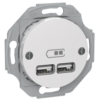 Lizdas p/t baltas 2xUSB 2 x 1.05A Renova - SCHNEIDER ELECTRIC