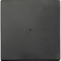 Mygtukas p/t radijo banginis antracito spalvos SYSTEM M - SCHNEIDER ELECTRIC