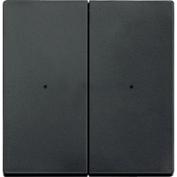 Klavišas dvigubas radio banginis atracito matinės spalvos SYSTEM M - SCHNEIDER ELECTRIC