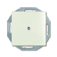 Aklinas dangtelis 2538-96-507 chalet spalvos BASIC 55 - ABB