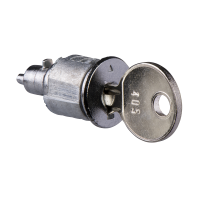 Spynelė skydui 455/1242E/2433A Pragma - SCHNEIDER ELECTRIC