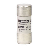 Saugiklis 63A 500V 22x58mm gG TeSys - SCHNEIDER ELECTRIC