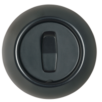 Perjungiklis v/t viengubas varžtiniai kontaktai juodos spalvos 16A 250V AC Renova - SCHNEIDER ELECTRIC