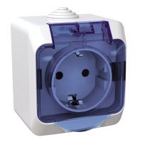 Lizdas v/t SCHUKO su permatomu dangteliu IP44 apsauga nuo vaikų baltas 16A 250V Cedar Plus - SCHNEIDER ELECTRIC