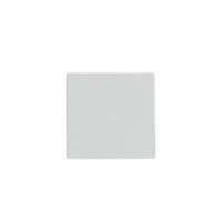 Klavišas viengubam jungikliui baltos spalvos 1786-84 Future Linear - ABB