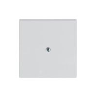 Dangtelis aklinas baltos spalvos 1745-84 - ABB