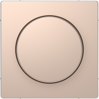 Dangtelis šviesos reguliatoriui šampano spalvos System Design - SCHNEIDER ELECTRIC