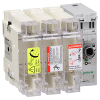 Kirtiklis-saugiklis 3P 125A 22x58 GS2K TeSys - SCHNEIDER ELECTRIC