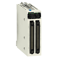 Modulis diskretinių įėjimų 64DI 24V DC X80 Modicon - SCHNEIDER ELECTRIC