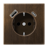 Lizdas p/t SCHUKO su USB A ir USB C 3A sendinto žalvario spalvos LS - JUNG