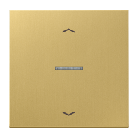 Klavišas jungikliui žaliuzių HOME - JUNG