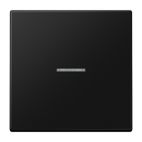 Klavišas jungikliui viengubas su apšvietimu juodos matinės spalvos KNX - JUNG