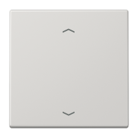Klavišas viengubas jungikliui žaliuzių šviesiai pilkas LS - JUNG