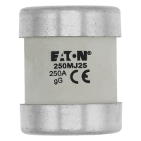 Bussmann series low voltage british standard fuse 250A 415V AC FERRULE FUSE - EATON (pavadinimas tikslinamas)