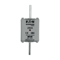 Bussmann series low voltage NH Fuse NH FUSE 250A 690V gG SIZE 2 - EATON (pavadinimas tikslinamas)