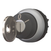 Moeller series M22 Key-operated actuator M22-WRS-MS6 - EATON (pavadinimas tikslinamas)