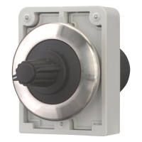 Moeller series M30 Potentiometer M30I-FR1M-BLANK - EATON (pavadinimas tikslinamas)
