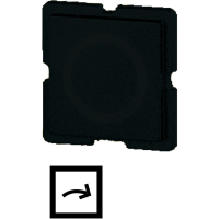 Moeller series RMQ16 Accessory Button plate 911TQ25 - EATON (pavadinimas tikslinamas)