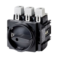 Moeller series P5 Main switch P5-315/EA/SVB-SW/HI10 - EATON (pavadinimas tikslinamas)