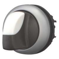 Galvutė perjungikliui 2-jų padėčių M22-WRK - EATON