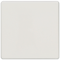 Klavišas viengubam jungikliui baltas DELTA LINE - SIEMENS