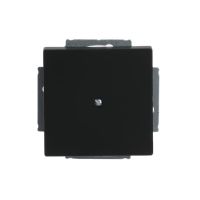 Aklė juodos matinės spalvos 1742-885 - ABB