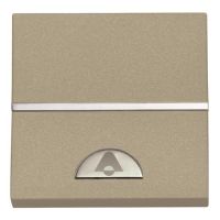 Jungiklis p/t viengubas mygtukinis 2 modulių šampano spalvos N2204 CV ZENIT - ABB