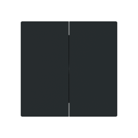 Klavišas dvigubam jungikliui juodos matinės spalvos 1785-45M-500 Busch-Art Linear - ABB