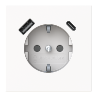Lizdas p/t SCHUKO su USB A ir USB C 2.4/3A su apsauga nuo vaikų baltos matinės spalvos 16A 230V 20 EUCB2USBAC-44M Busch-Art Linear - ABB