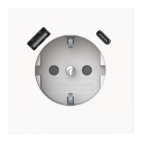 Lizdas p/t SCHUKO su USB A ir USB C 2.4/3A su apsauga nuo vaikų baltos spalvos 16A 230V 20 EUCB2USBAC-44G Busch-Art Linear - ABB