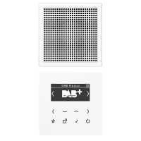 Imtuvas radio DAB su ekranu mono rinkinys LS - JUNG
