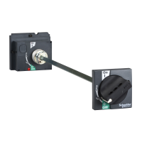 Rankena automatui NSX100-250 išorinė - SCHNEIDER ELECTRIC