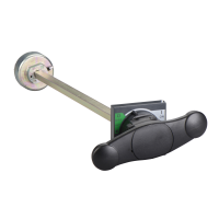 Rankena išorinė kirtikliui INS320/400/630 - SCHNEIDER ELECTRIC