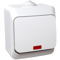 Jungiklis v/t viengubas IP44 su apšvietimu baltos spalvos Cedar Plus - SCHNEIDER ELECTRIC