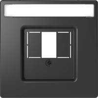 Dangtelis TAE/audio/USB lizdui antracito spalvos System Design - SCHNEIDER ELECTRIC