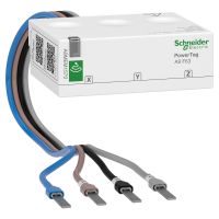 Jutiklis energijos apskaitai 3P+N 63A PowerTag Acti9 - SCHNEIDER ELECTRIC