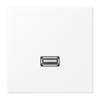 multimedia adapter - JUNG (pavadinimas tikslinamas)