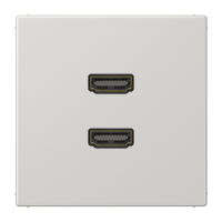 multimedia adapter - JUNG (pavadinimas tikslinamas)