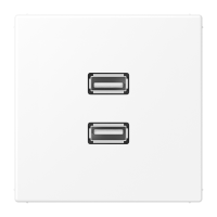 multimedia adapter - JUNG (pavadinimas tikslinamas)